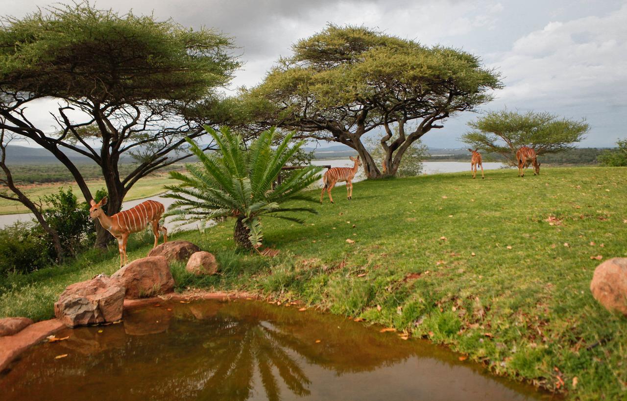 Nkwazi Lake Lodge Pongola Esterno foto